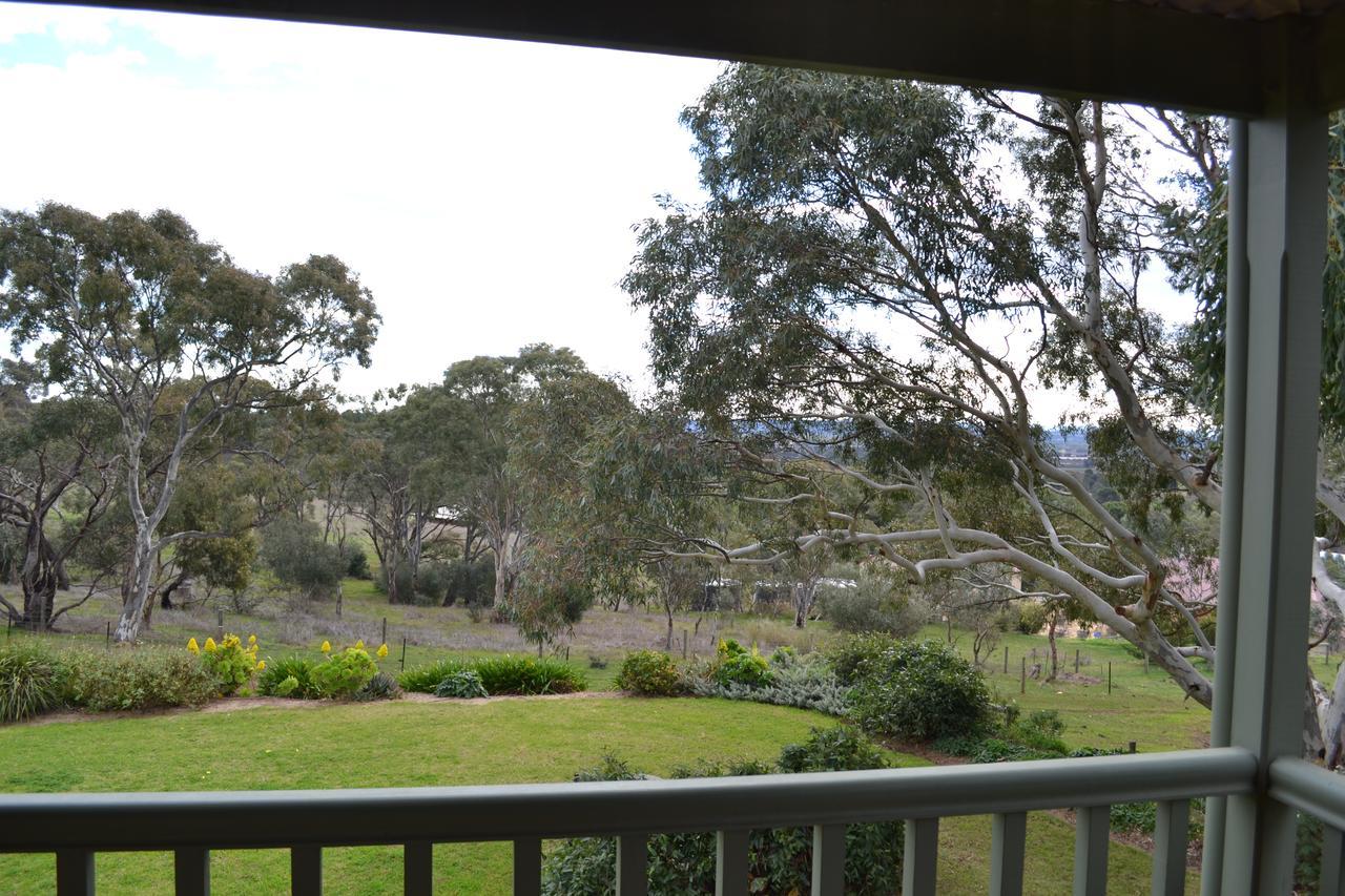 Angaston Saleyards Luxury Accommodation 外观 照片