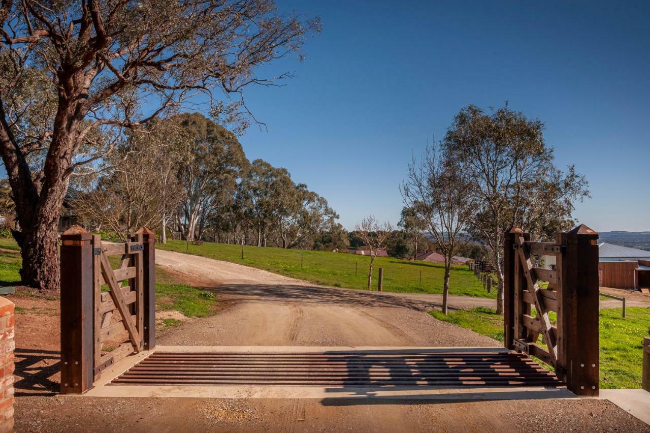 Angaston Saleyards Luxury Accommodation 外观 照片