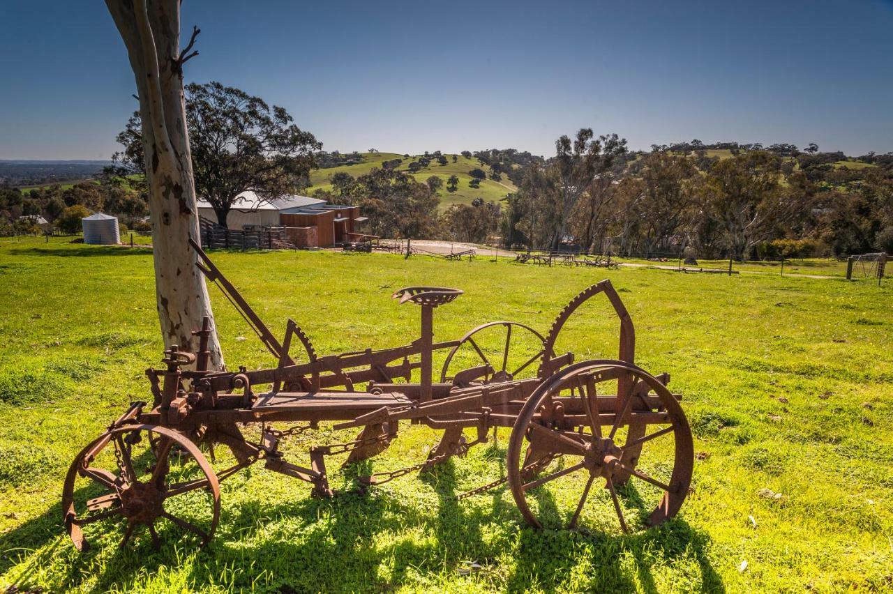 Angaston Saleyards Luxury Accommodation 外观 照片